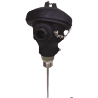 Kobold Resistance Thermometer with Transmitter, MWD